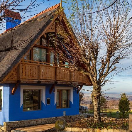 Casele Cu Stuf B&B Haus Ulrike Sălicea Exteriér fotografie