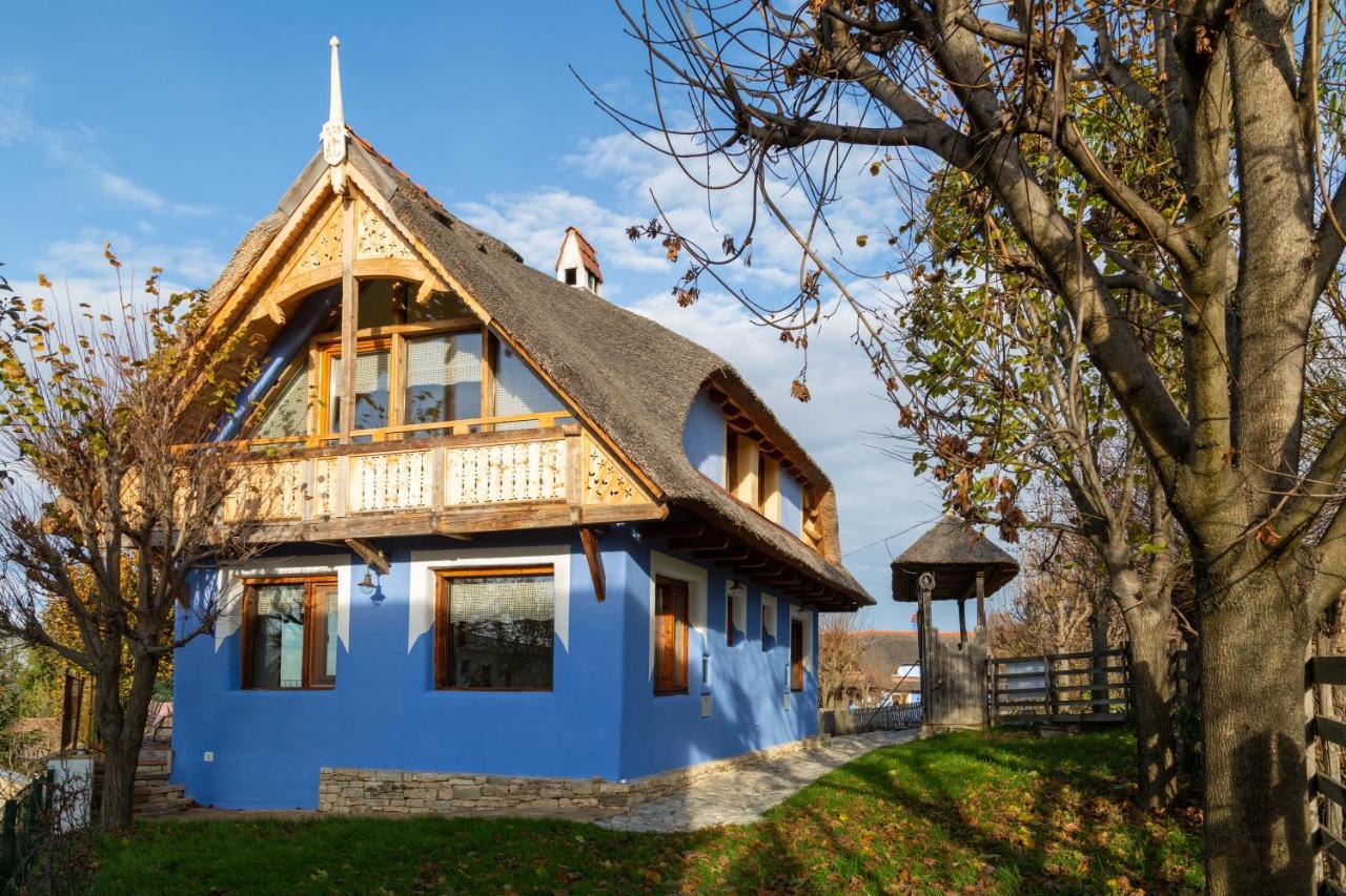 Casele Cu Stuf B&B Haus Ulrike Sălicea Exteriér fotografie