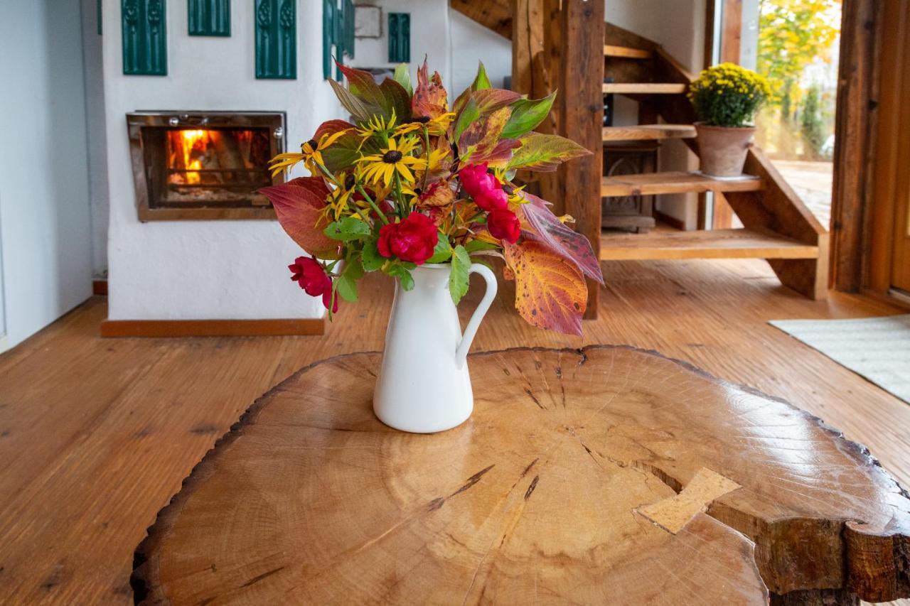 Casele Cu Stuf B&B Haus Ulrike Sălicea Exteriér fotografie