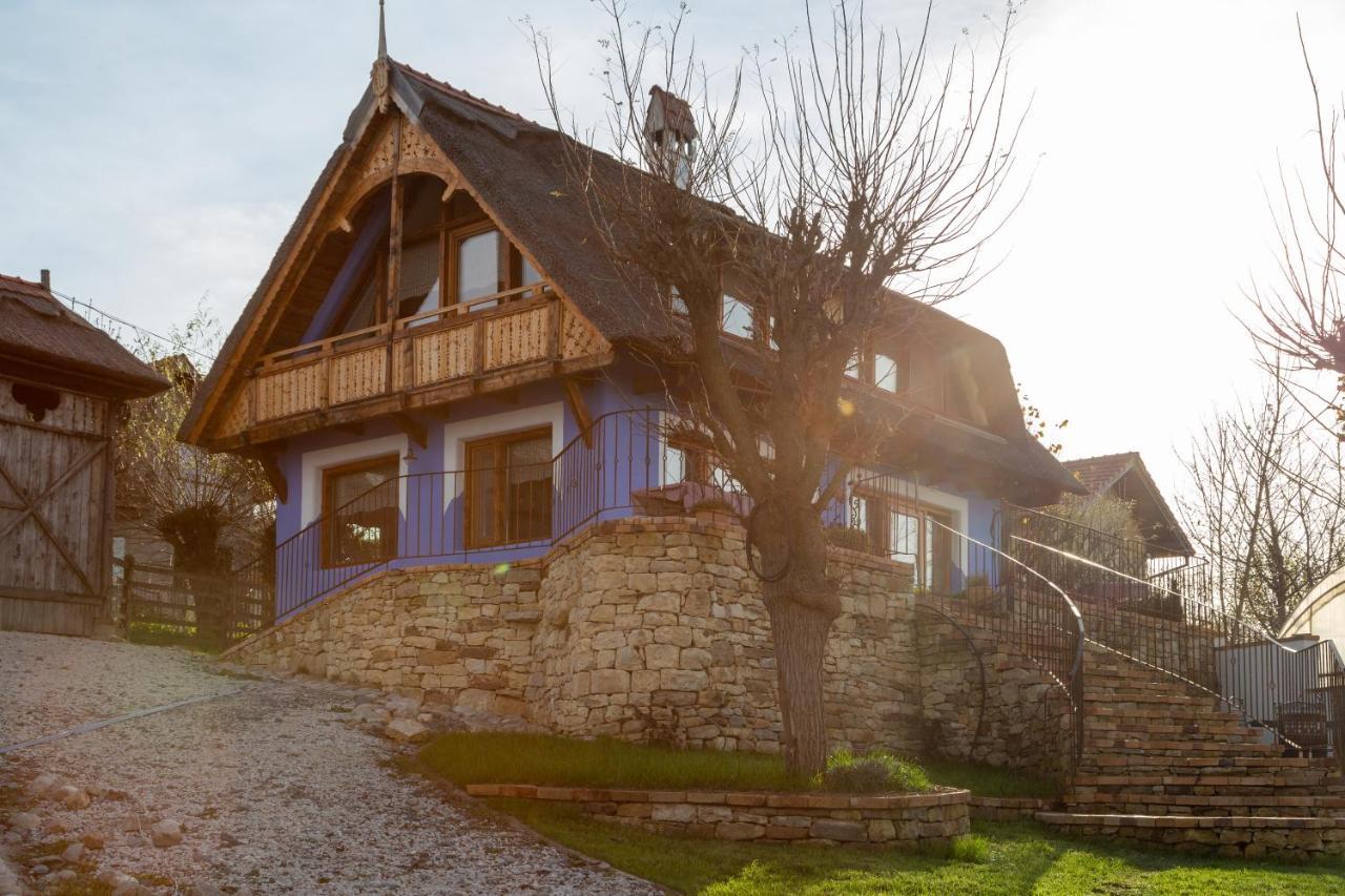 Casele Cu Stuf B&B Haus Ulrike Sălicea Exteriér fotografie