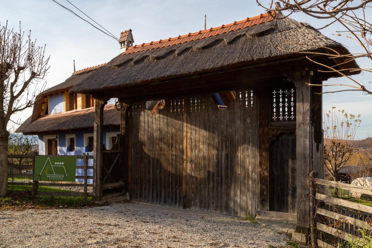 Casele Cu Stuf B&B Haus Ulrike Sălicea Exteriér fotografie
