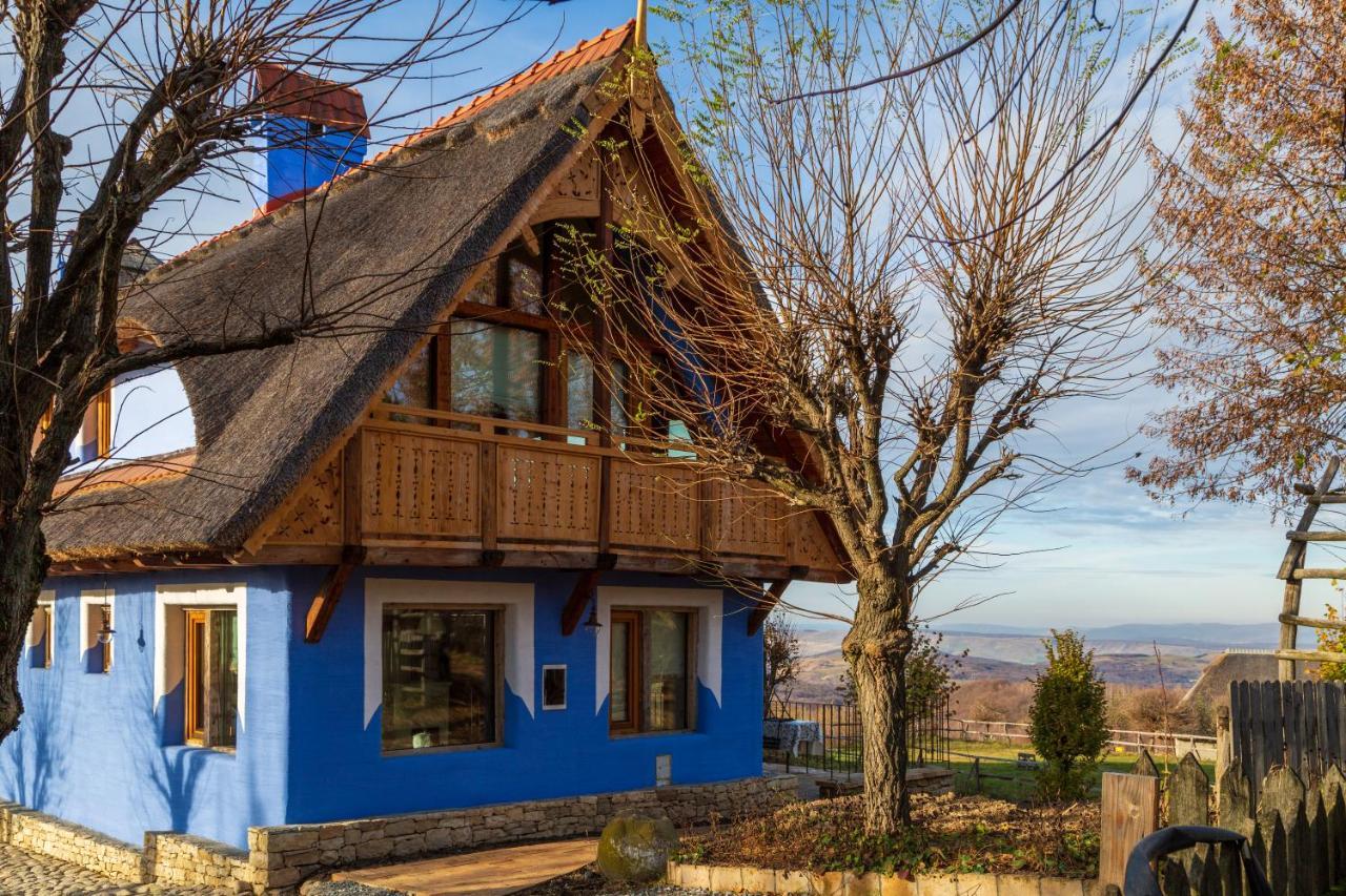 Casele Cu Stuf B&B Haus Ulrike Sălicea Exteriér fotografie