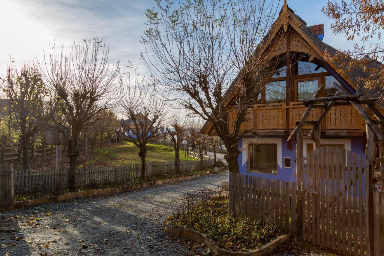 Casele Cu Stuf B&B Haus Ulrike Sălicea Exteriér fotografie