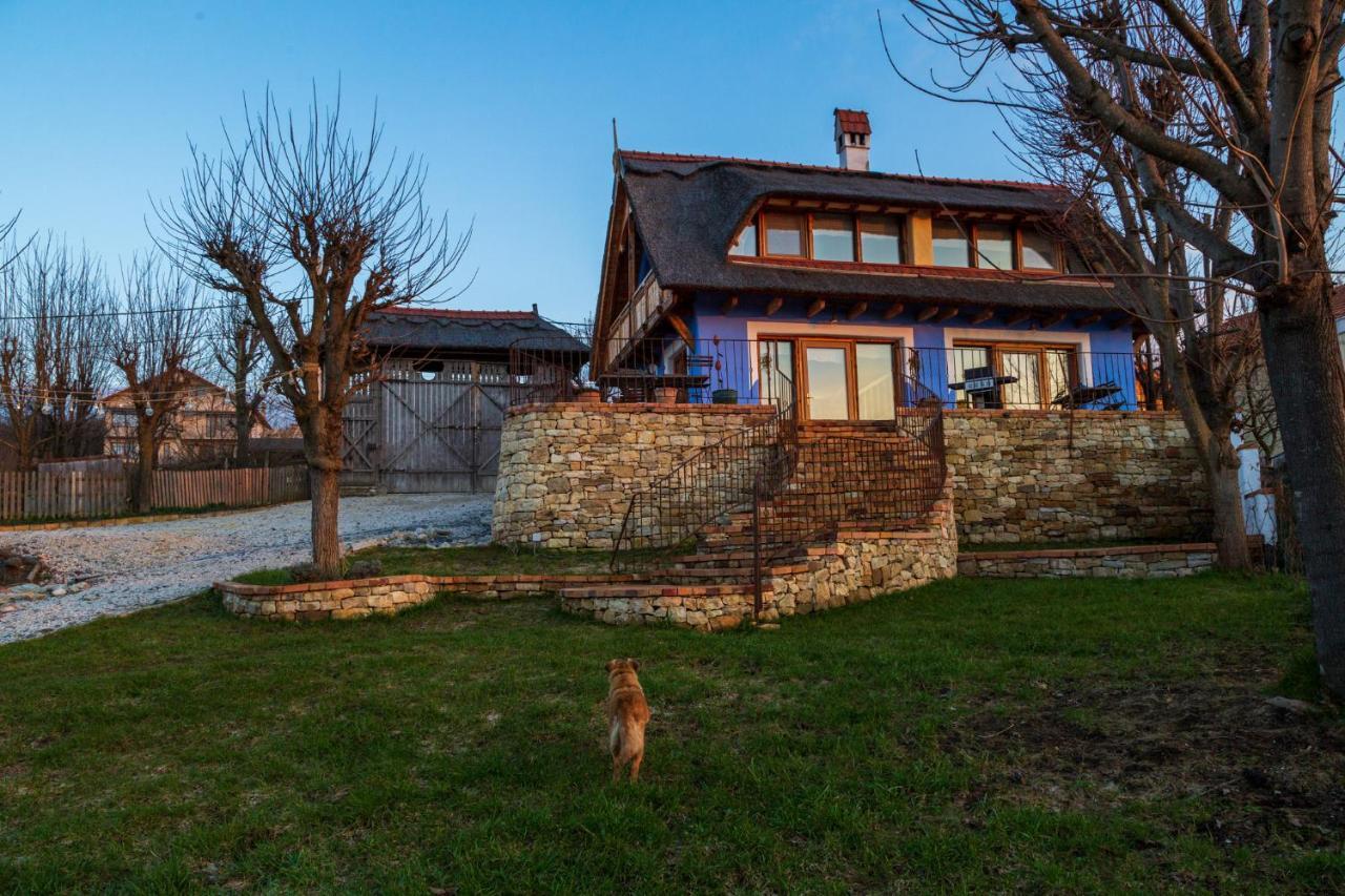 Casele Cu Stuf B&B Haus Ulrike Sălicea Exteriér fotografie