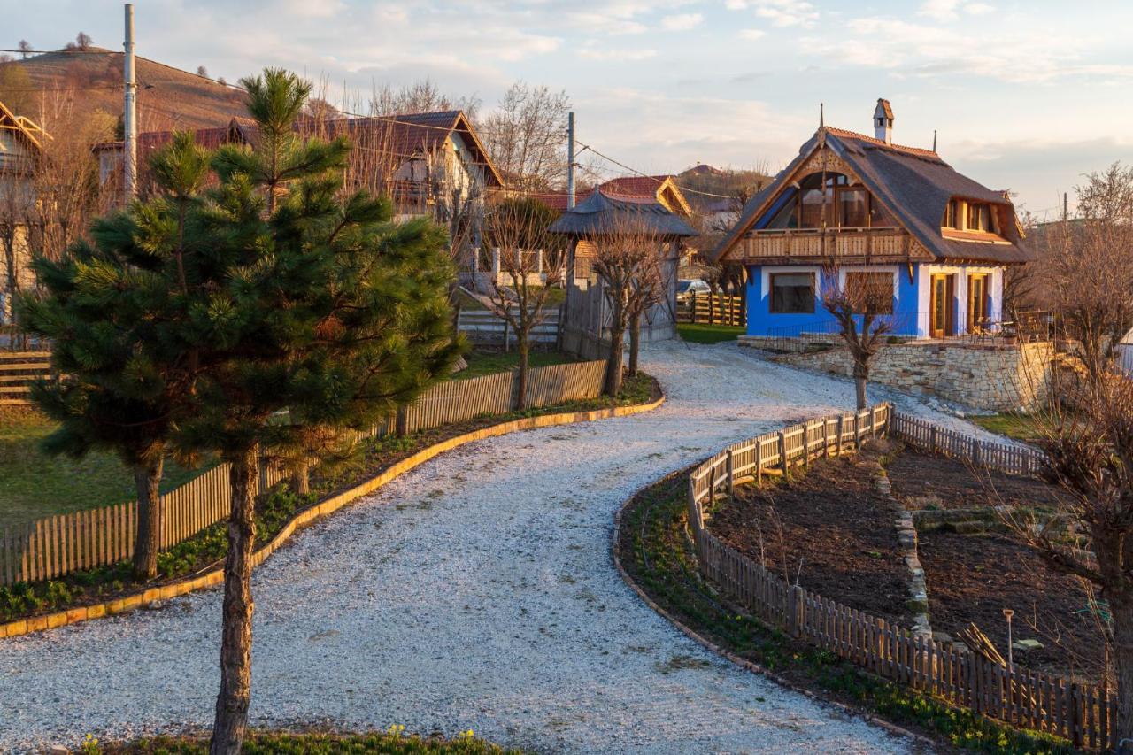 Casele Cu Stuf B&B Haus Ulrike Sălicea Exteriér fotografie