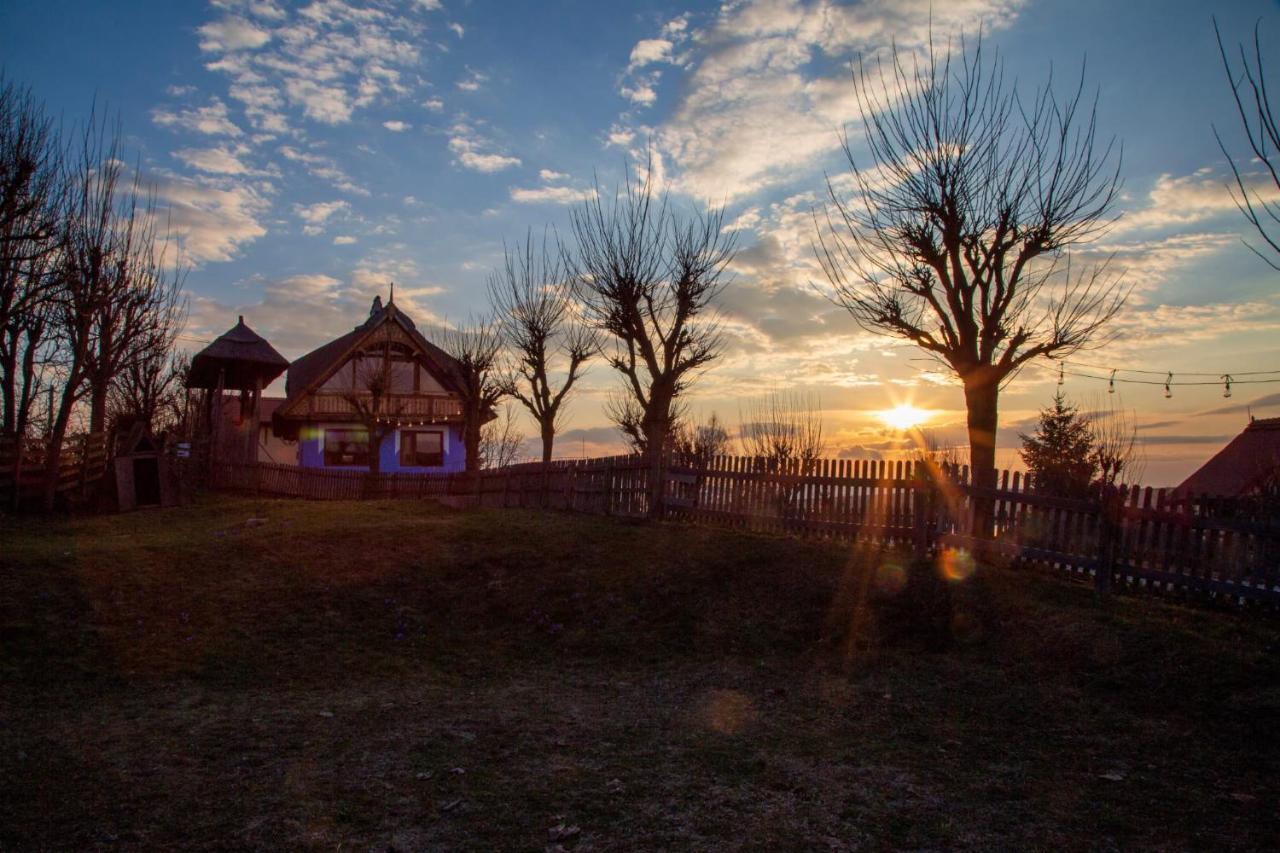 Casele Cu Stuf B&B Haus Ulrike Sălicea Exteriér fotografie