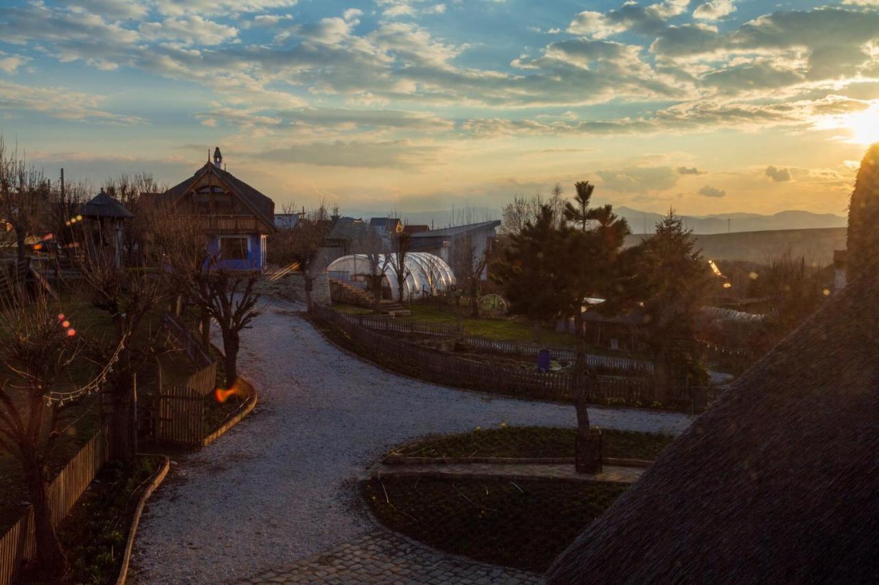 Casele Cu Stuf B&B Haus Ulrike Sălicea Exteriér fotografie