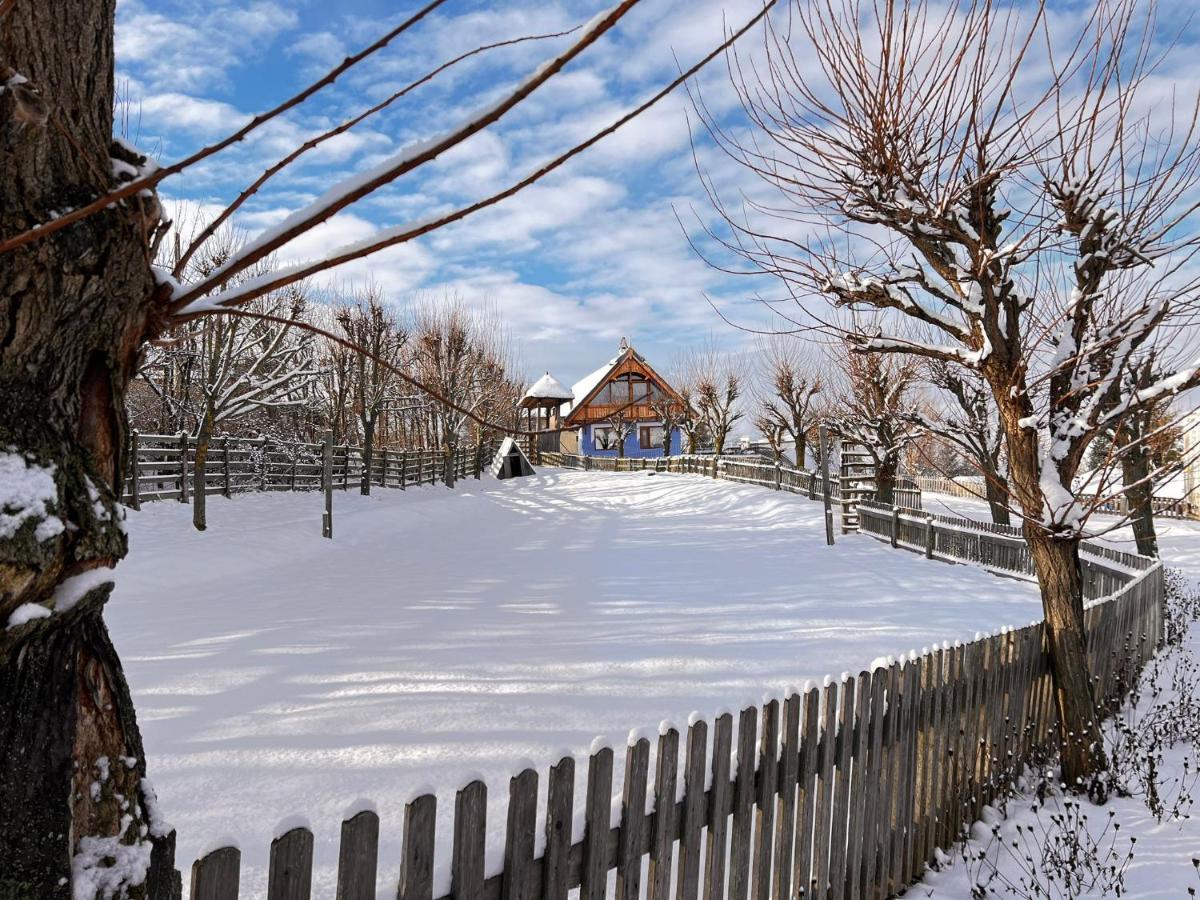 Casele Cu Stuf B&B Haus Ulrike Sălicea Exteriér fotografie