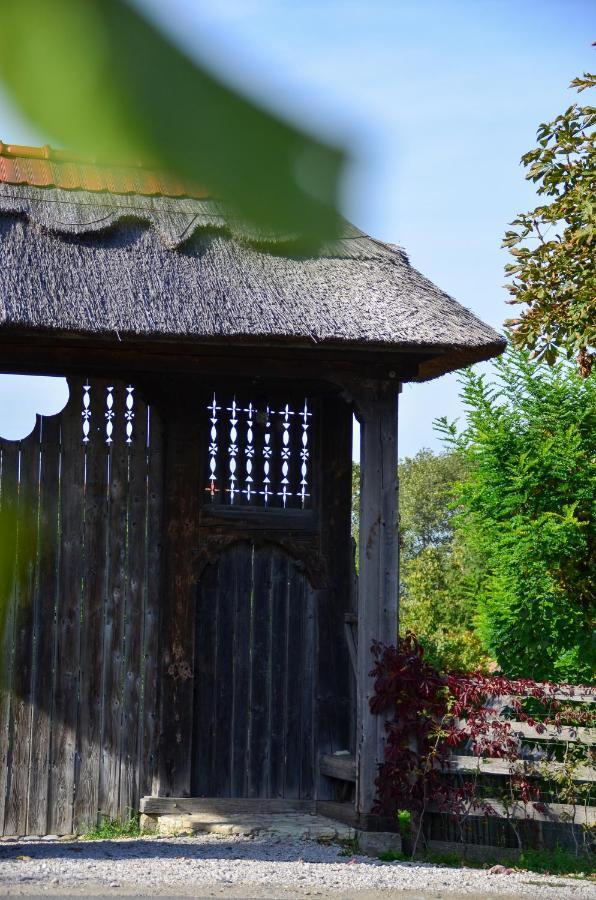 Casele Cu Stuf B&B Haus Ulrike Sălicea Exteriér fotografie