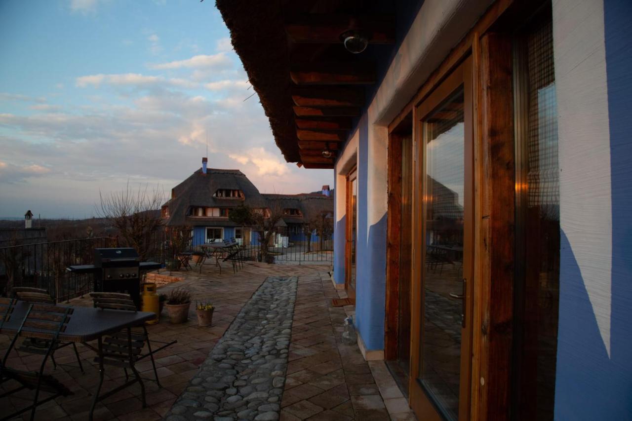 Casele Cu Stuf B&B Haus Ulrike Sălicea Exteriér fotografie