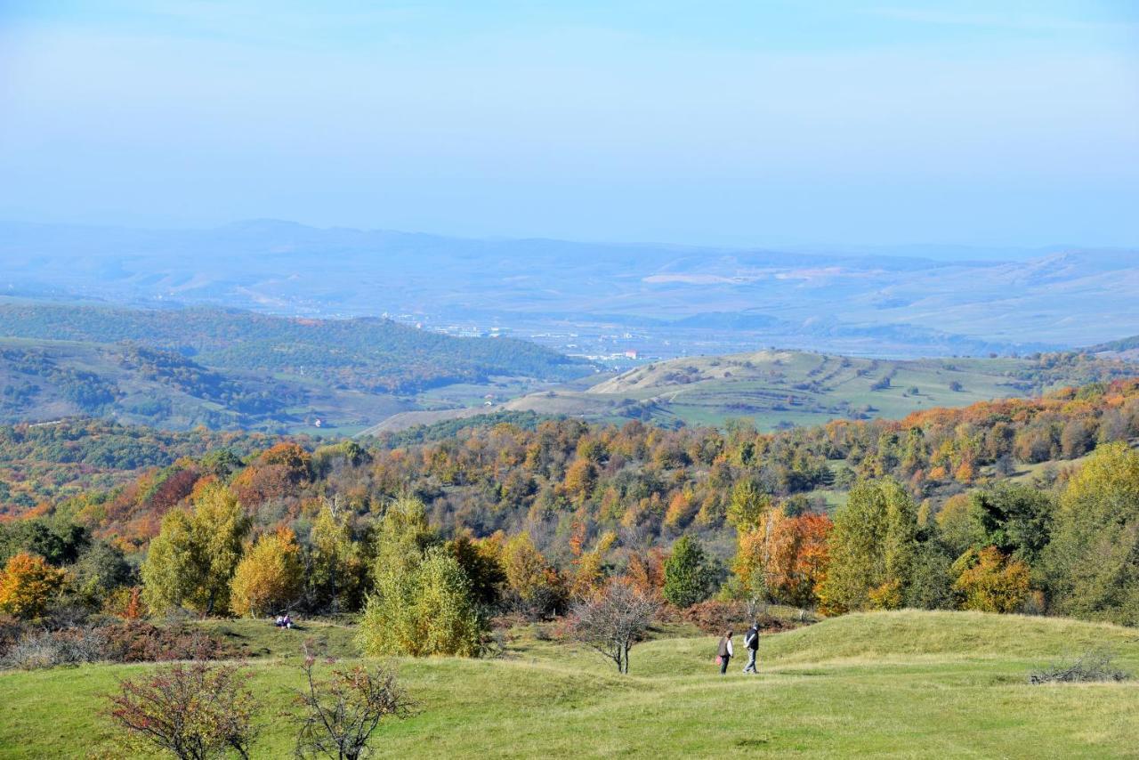 Casele Cu Stuf B&B Haus Ulrike Sălicea Exteriér fotografie