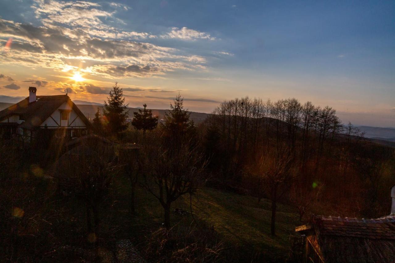 Casele Cu Stuf B&B Haus Ulrike Sălicea Exteriér fotografie