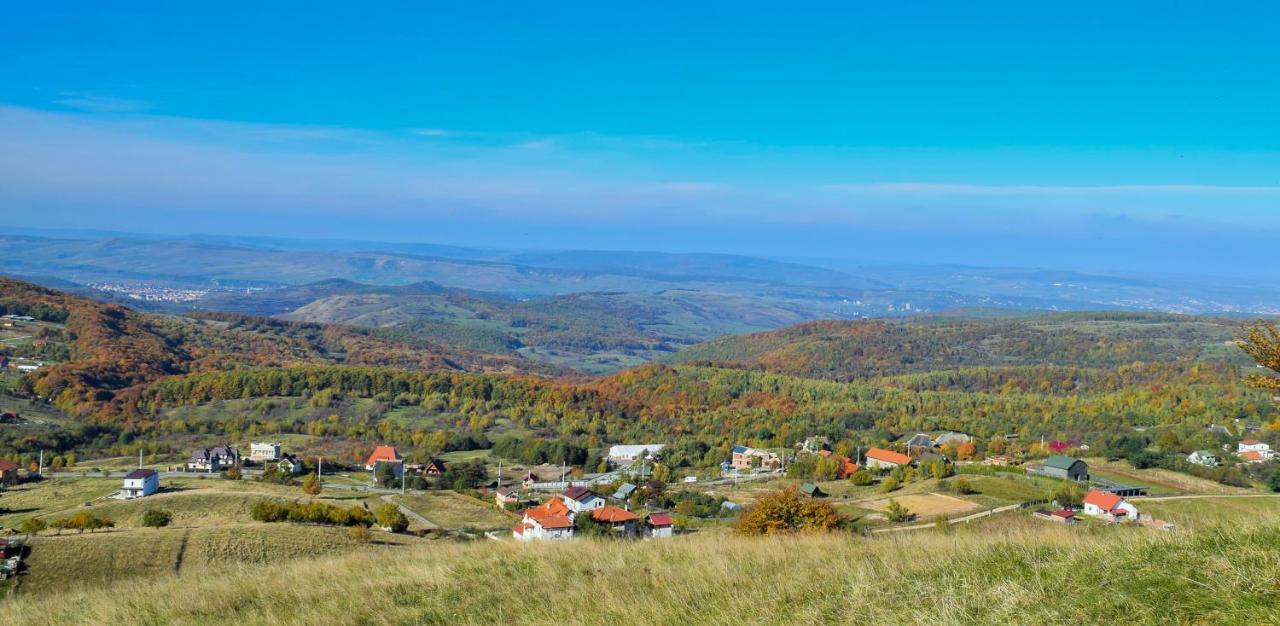 Casele Cu Stuf B&B Haus Ulrike Sălicea Exteriér fotografie