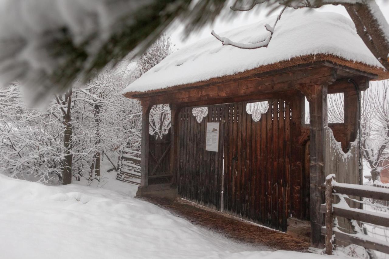 Casele Cu Stuf B&B Haus Ulrike Sălicea Exteriér fotografie