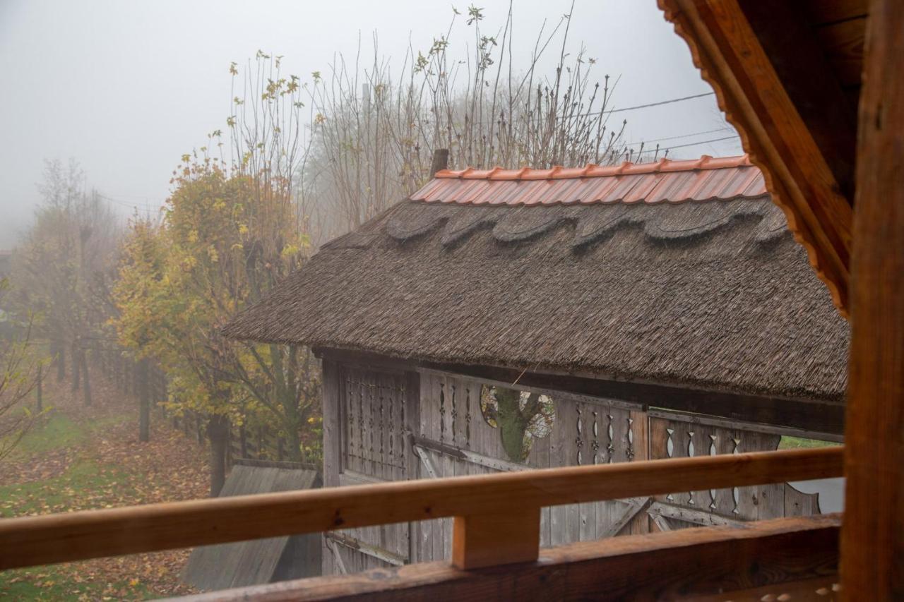 Casele Cu Stuf B&B Haus Ulrike Sălicea Exteriér fotografie