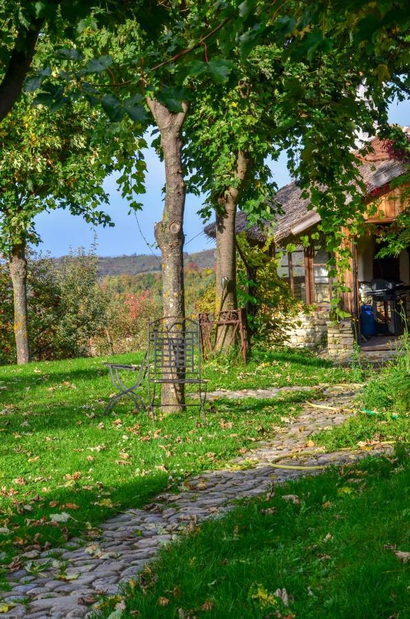 Casele Cu Stuf B&B Haus Ulrike Sălicea Exteriér fotografie