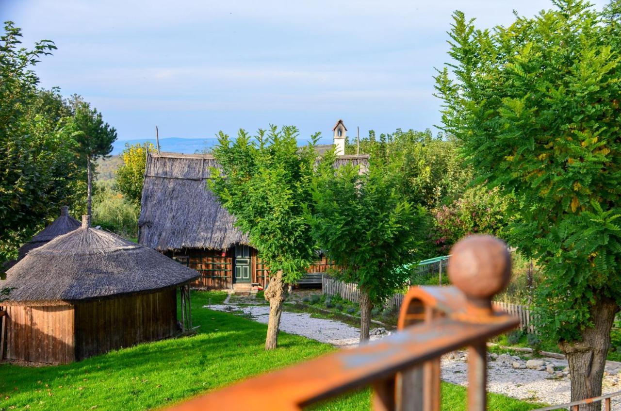 Casele Cu Stuf B&B Haus Ulrike Sălicea Exteriér fotografie