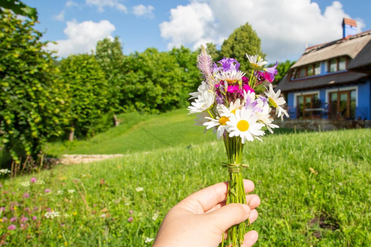 Casele Cu Stuf B&B Haus Ulrike Sălicea Exteriér fotografie