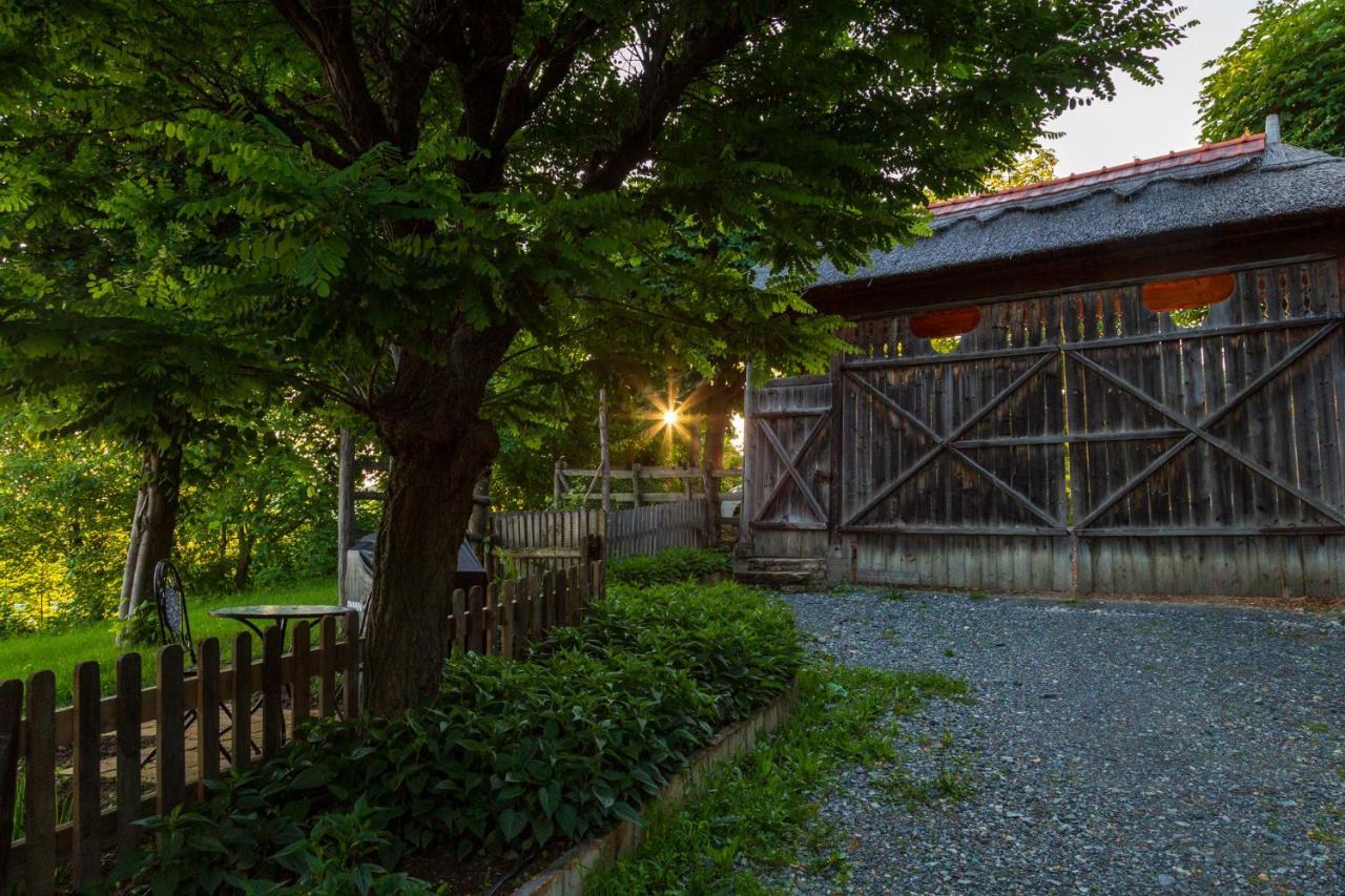 Casele Cu Stuf B&B Haus Ulrike Sălicea Exteriér fotografie