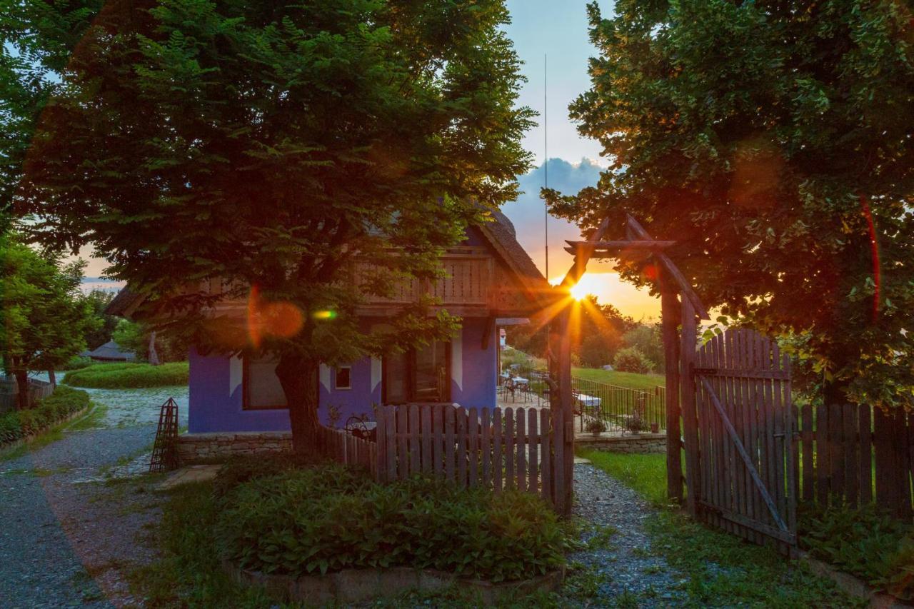 Casele Cu Stuf B&B Haus Ulrike Sălicea Exteriér fotografie