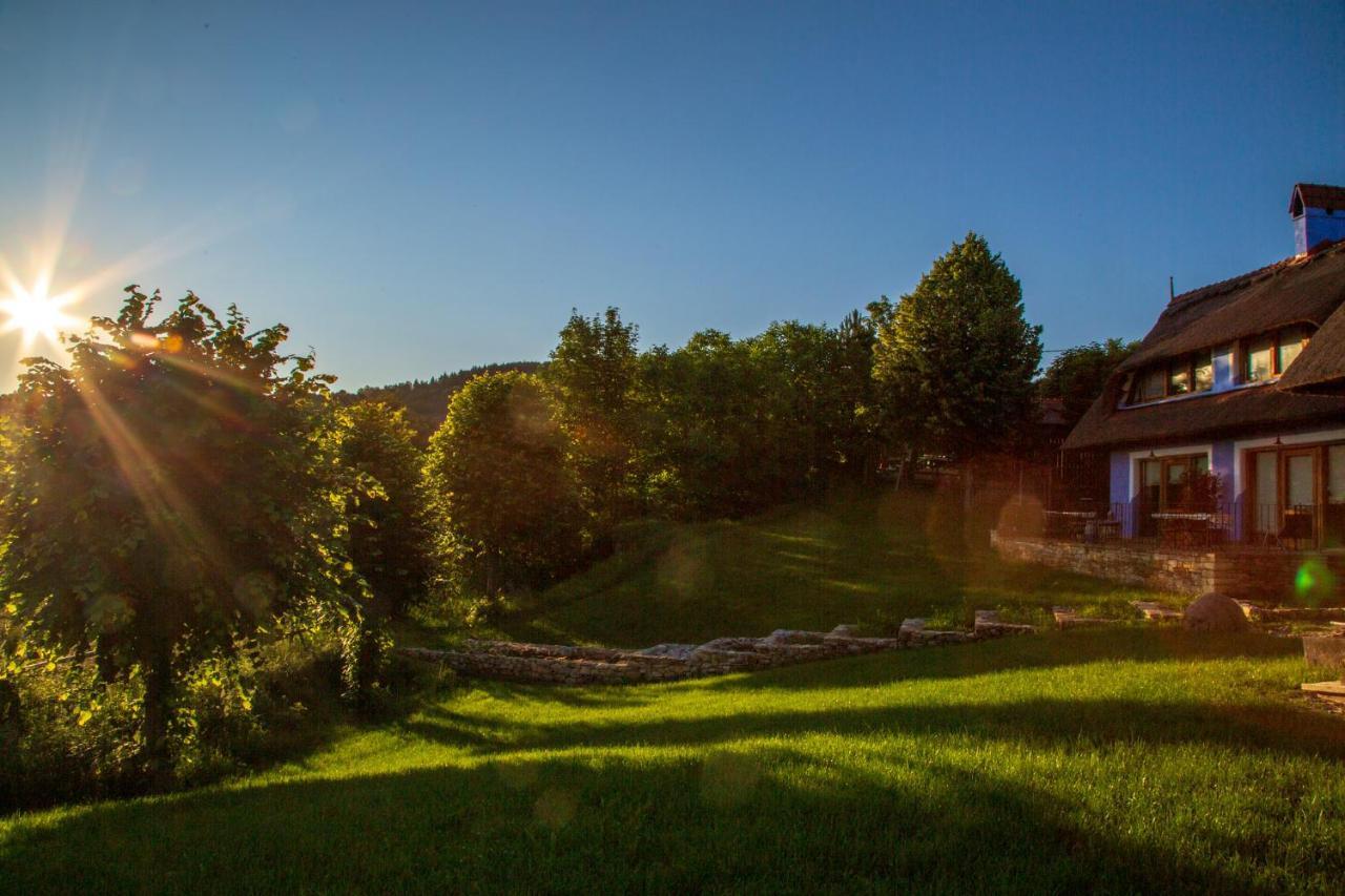 Casele Cu Stuf B&B Haus Ulrike Sălicea Exteriér fotografie